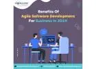 Benefits Of Agile Software Development For Business In 2024!