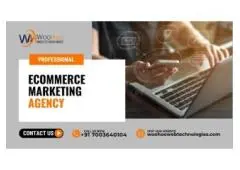 Professional Ecommerce Marketing Agency