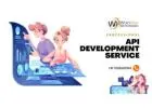 Professional API Development Service