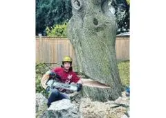 Get the Best Tree Removal in Flamborough