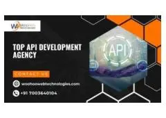 Top API Development Agency Call Now +91 7003640104