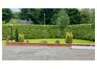 Best Garden Services in Heaton Moor