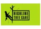 Highline Tree Care: Reliable Tree Removal Services in Werribee