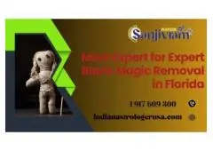 Meet Expert for Expert Black Magic Removal in Florida