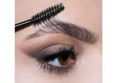 Best Service for Eyebrow Tinting in Village Park