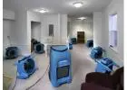 Water Damaged Carpet Drying Services in Melbourne