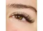 Best Service for Eyelash Extensions in Olympia Heights