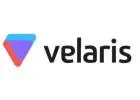 Customer Success with Velaris