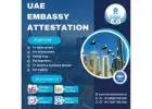 Demystifying the Embassy Attestation Procedure: A Comprehensive Guide