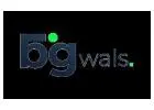 3D Animation Provider | Bigwals