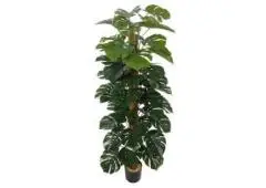 Maintenance-Free Artificial Topiary Trees For Indoor and Outdoor Spaces
