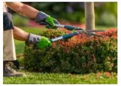 Best Service for Garden Maintenance in South Croydon