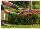Best Service for Garden Maintenance in South Croydon