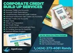 Corporate Credit Build up services