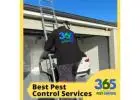 Providing effective bee and wasp control services | 365 Pest Control