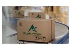 Effortless Shipping Solutions in Delhi: Aryan International Guides Your Deliveries