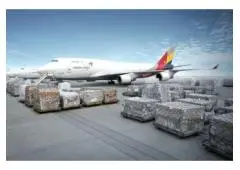Airborne Logistics: Elevating Your Shipments with OLC Shipping