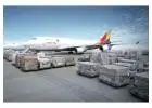 Airborne Logistics: Elevating Your Shipments with OLC Shipping