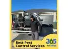 Cockroach Pest Solutions, 365 Pest Control Melbourne