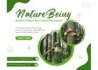 Experience the Healing Power of Nature with Forest Bathing Walks
