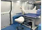 Best Service for Mobile Cat Grooming in Kirby Knowle