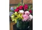 Want Best Wholesale Florist in Launceston?