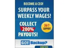Get paid for data backups