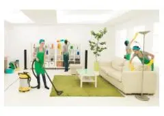 Best Service for Domestic Cleaning in Earley