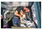 Best service for Mobile Dog Grooming in Cameron Park