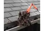 Best service for Gutter Cleaning in Pleasant Hill