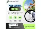 Specific Pest Control's Effective Possum Removal Services in Melbourne