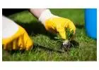 Best service for Garden Maintenance in Cashel