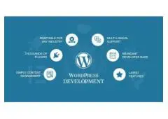 website wordpress developer