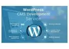 Wordpress Development Service