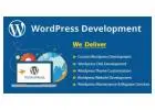 Wordpress Website Development