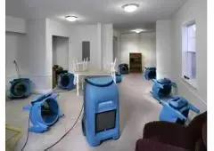 Flooded Carpet Drying Services in Melbourne