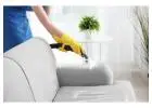 Best Service for Upholstery Cleaning in Highbridge