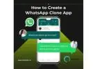 WhatsApp Clone Solution | Create Your Own Messaging App